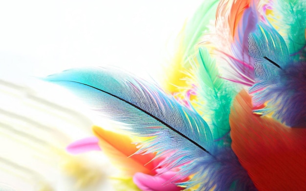 Foto una pluma de colores con la palabra 