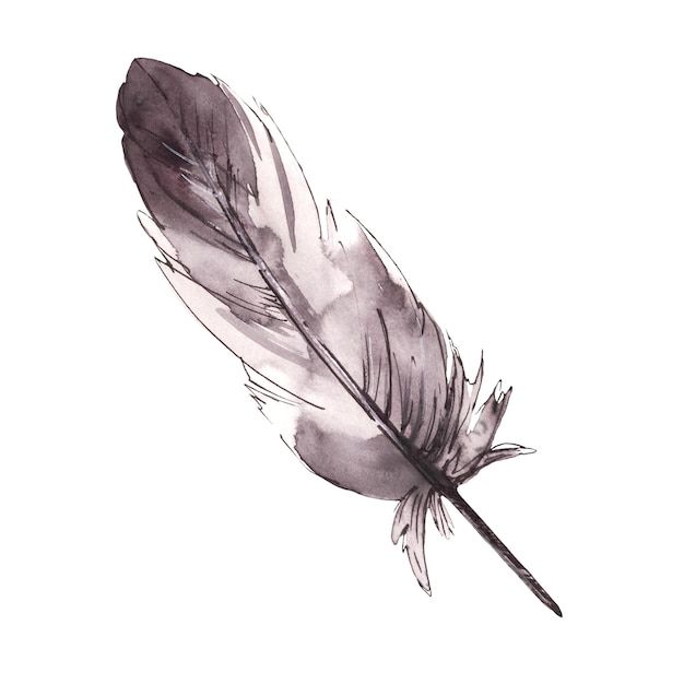 Foto pluma de pájaro gris negro monocromático con línea gráfica de tinta dibujo a mano acuarela clipart pluma real