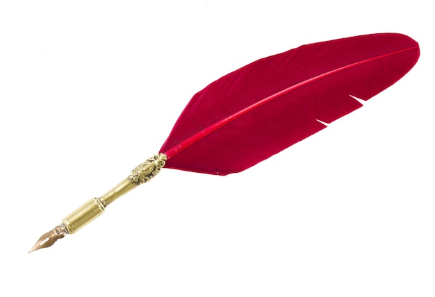 Pluma de pluma roja aislado en blanco