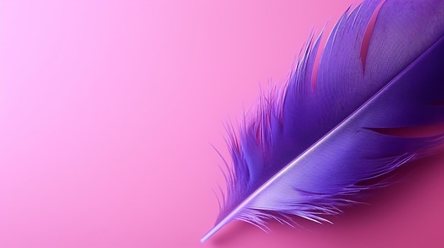 Pluma púrpura sobre un fondo rosa con un fondo rosa