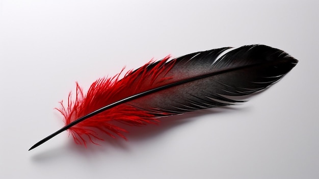 Una pluma roja está sobre una superficie blanca.