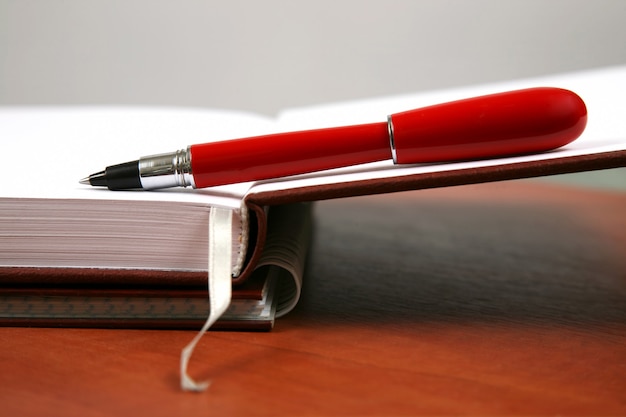 La pluma roja sobre un cuaderno abierto