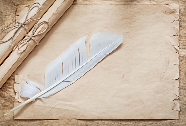 Pluma de rollos de papel pergamino medieval sobre tabla de madera