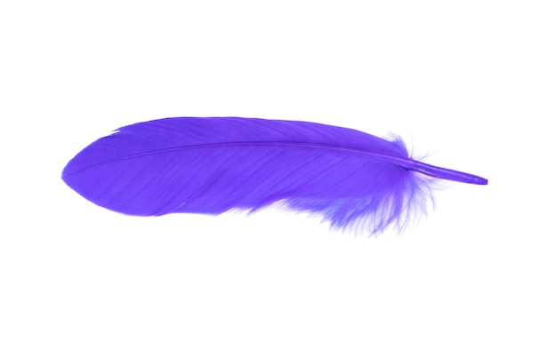 Pluma violeta aislado sobre fondo blanco.