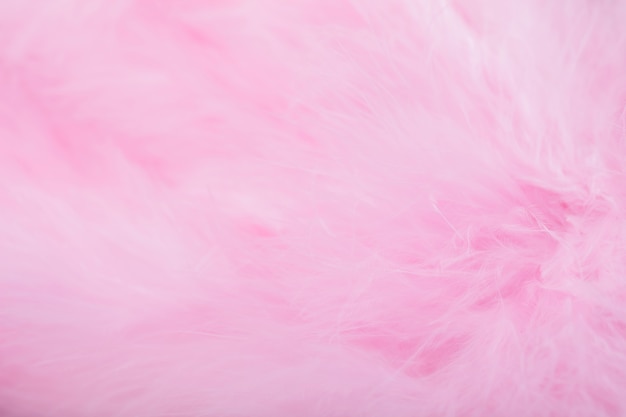 Plumas de ave rosa en estilo suave y borroso, fondo de pluma rosa mullida