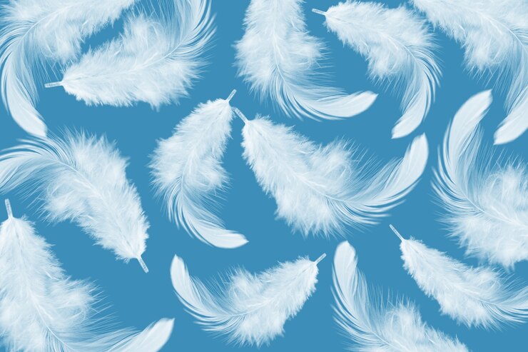Foto plumas blancas aisladas sobre fondo azul