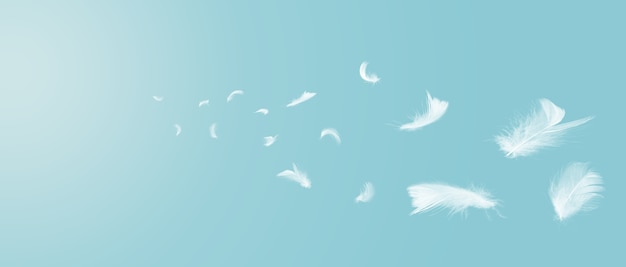 Foto plumas blancas flotando en el cielo con luz solar.