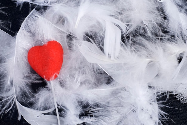 Plumas blancas de pájaros en fondo negro con corazón