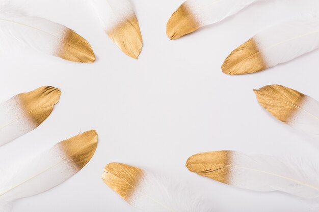 Foto plumas blancas con purpurina dorada