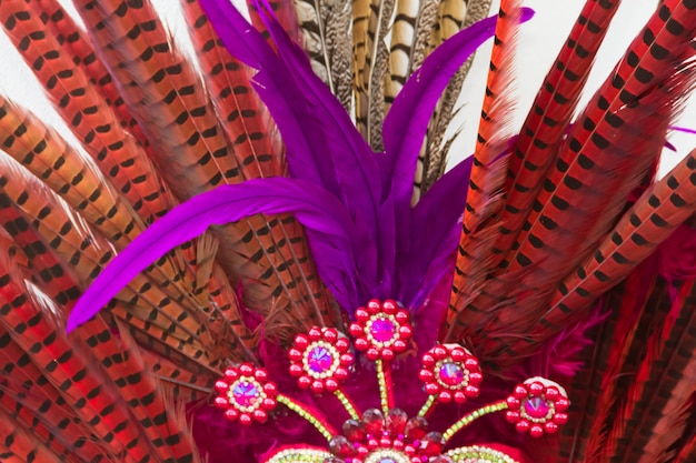 Plumas y bordados con brillantes para el carnaval.