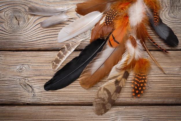 Plumas de color sobre fondo de madera vieja