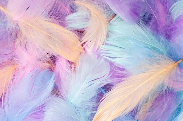 Plumas de colores pastel