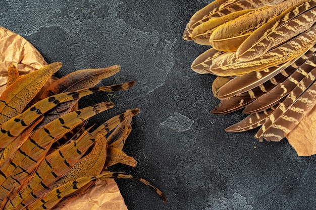 Plumas de faisán sobre fondo oscuro con textura, espacio de copia