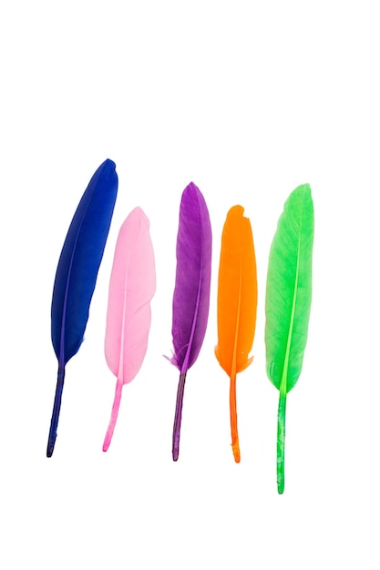 Foto plumas multicolores aisladas sobre fondo en colores pastel