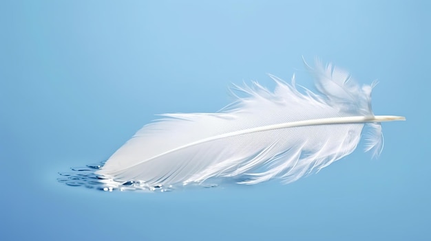Pájaros de plumas blancas fotografías e imágenes de alta resolución - Alamy
