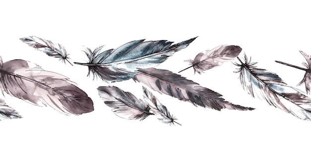 Plumas de pájaros alas plumas acuarela monocromática borde sin costura clip art de ilustración dibujado a mano