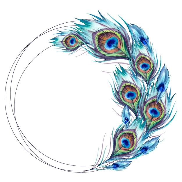 Las plumas de pavo real marco redondo La ilustración está dibujada a mano ejecutada en acuarela Una hermosa pluma de pájaro Fénix de colores brillantes sobre un fondo blanco Ornamento asiático indio japonés