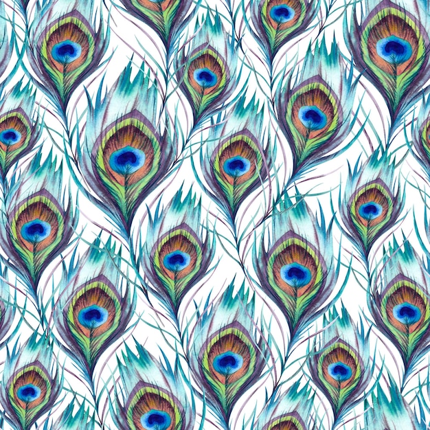 Las plumas de pavo real patrón sin costuras La ilustración está dibujada a mano ejecutada en acuarela Una hermosa pluma de pájaro Fénix de colores brillantes sobre un fondo blanco Ornamento indio asiático