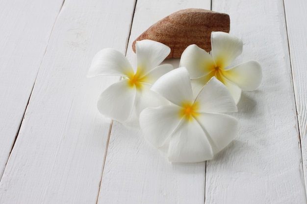 Plumeria arenisca se coloca sobre un suelo de madera blanca.