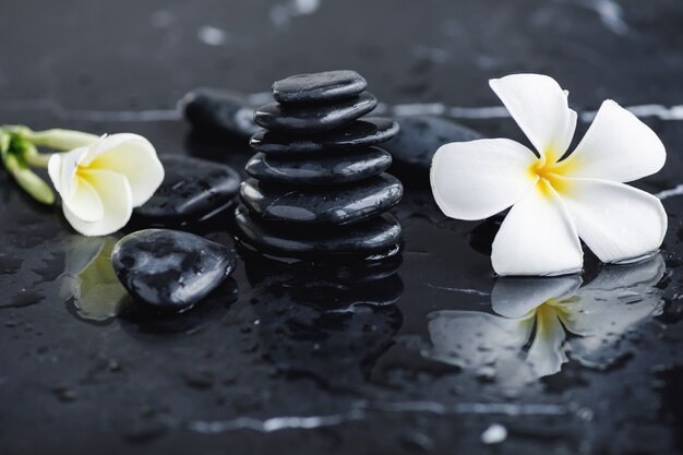 Plumeria flor y spa piedras