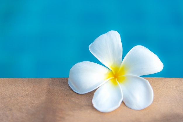 Foto plumeria flores spa cerca de la piscina, relajarse y cuidar la salud. concepto saludable