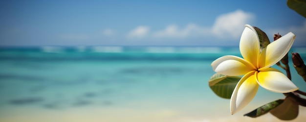 Plumeria Frangipani no mar tropical e no fundo do céu azul da praia Tempo festivo de verão Generative AI