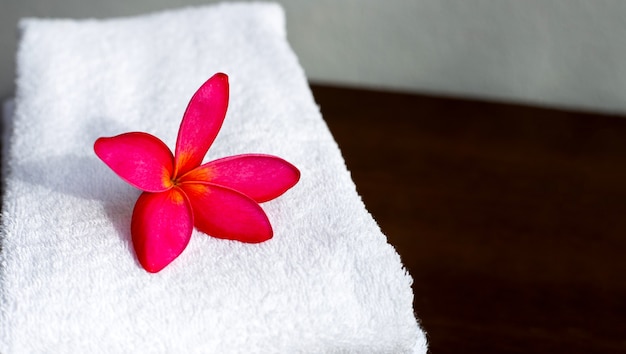 Plumeria roja sobre toalla blanca