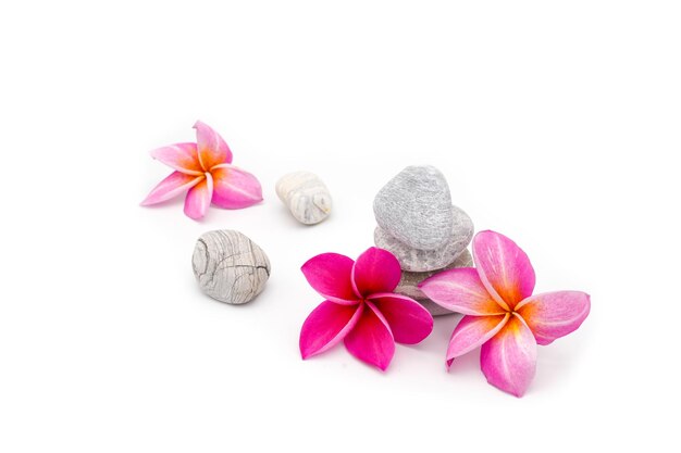 Foto plumeria rosa contra el apilamiento de piedra sobre fondo blanco.