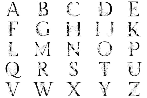Png abc conjunto botânica aquarela tipografia