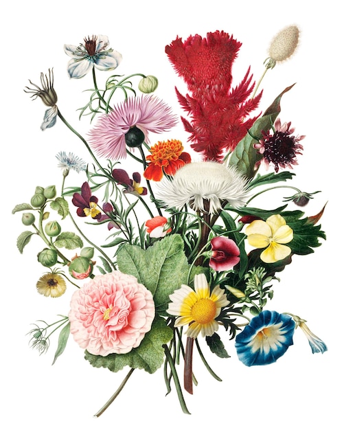 Png adesivo de buquê de flores ilustração vintage fundo transparente