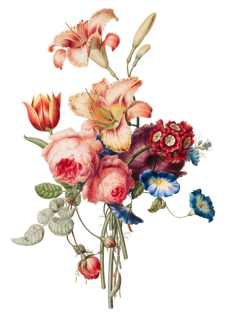 Foto png adesivo de buquê de flores ilustração vintage fundo transparente