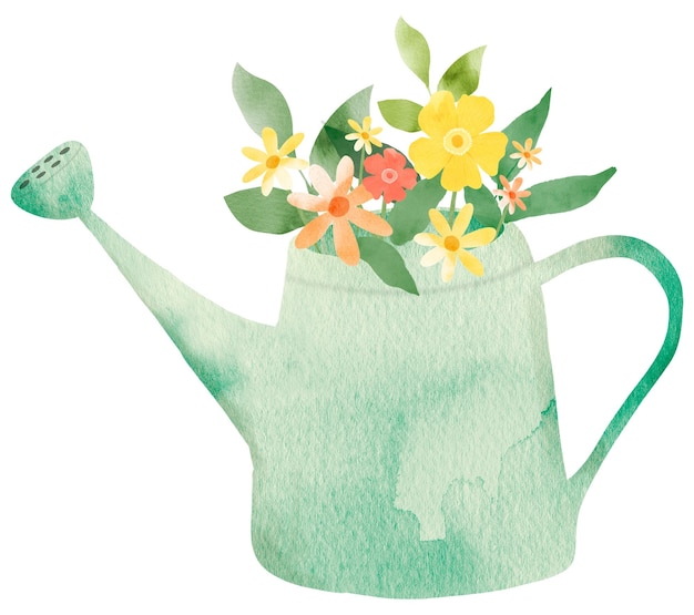 Png água pode com flores elemento de design