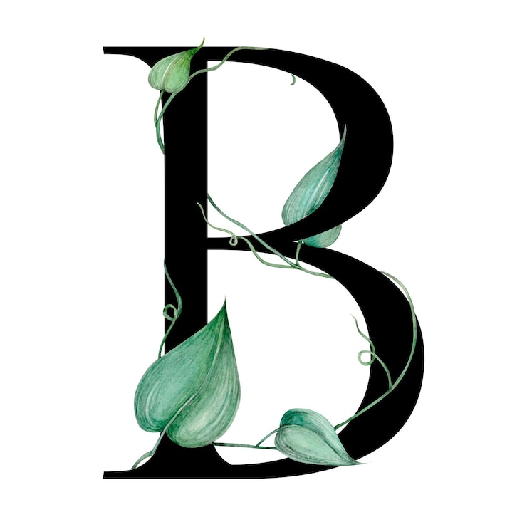 Foto png alfabeto b pegatina fuente serif tipografía