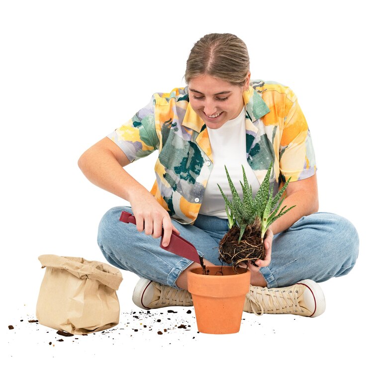 Png amante de las plantas maqueta de reenvasado de aloe vera