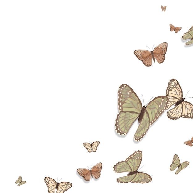 Png borde de mariposa beige fondo transparente