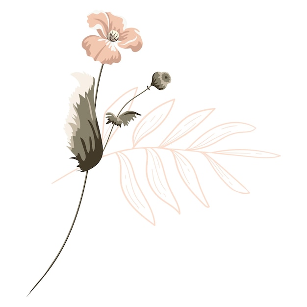 Png Botanische Aufkleber Illustration Blume durchsichtiger Hintergrund