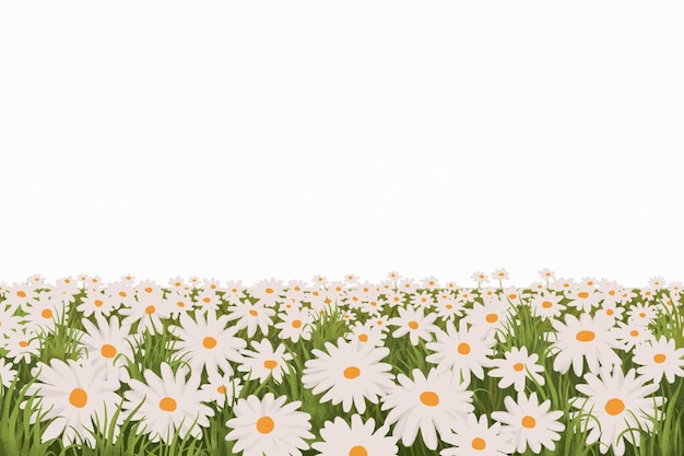 Png Campo de flores de margarita fondo de borde diseño estético de la naturaleza fondo transparente