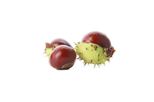 PNG unas castañas aisladas sobre fondo blanco