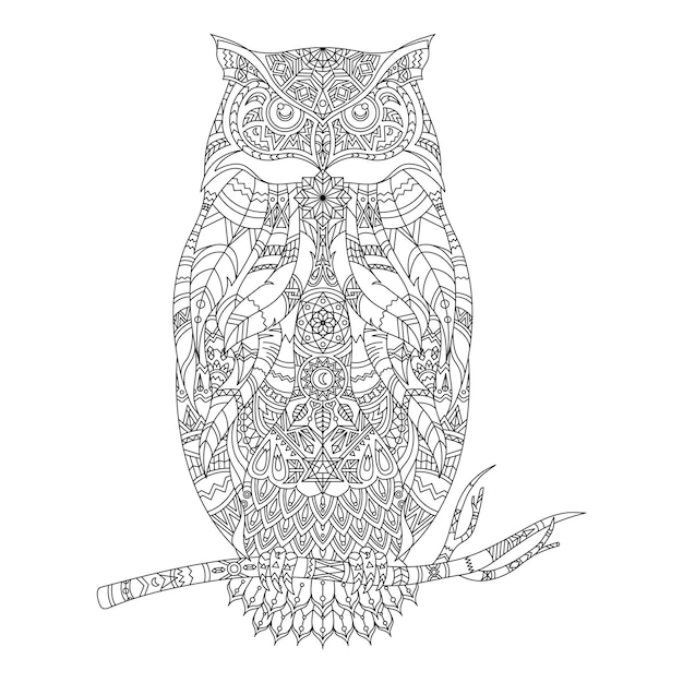 Png elemento búho fondo transparente
