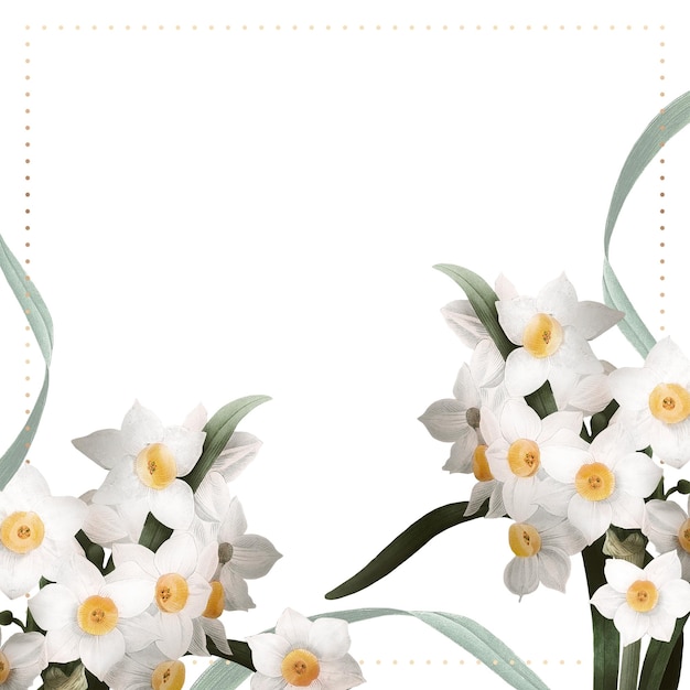 Png Frontera de Pascua con narcisos en un fondo transparente