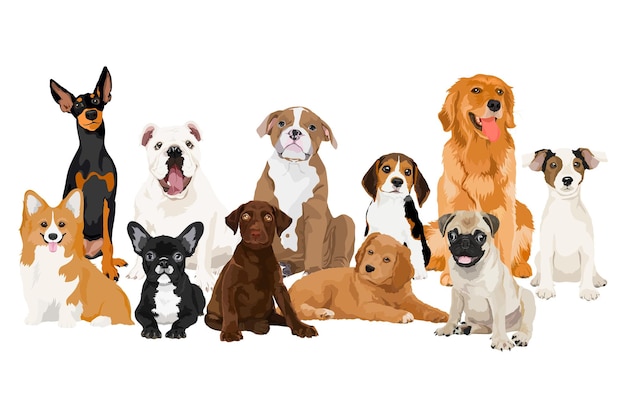 PNG Hunde und Welpen Adoptionskampagne Illustration Aufkleber transparenter Hintergrund