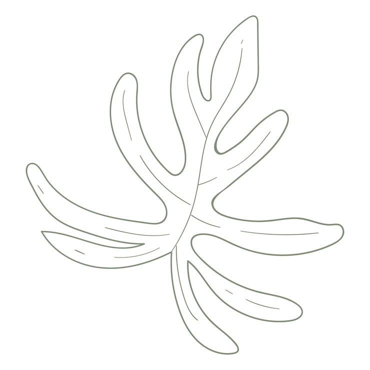 Foto png linha de arte adesivo memphis ilustração fundo transparente
