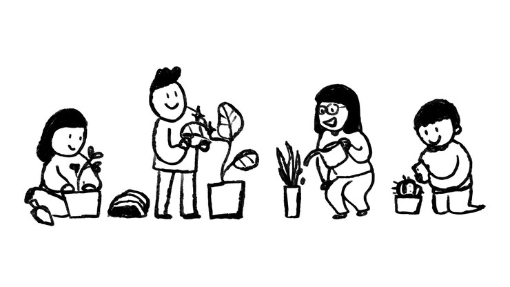 Foto png nuevo hobby normal garabateado con el padre de la planta