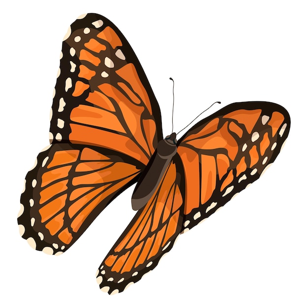 PNG-Orange-Schmetterling-Illustration mit durchsichtigem Hintergrund