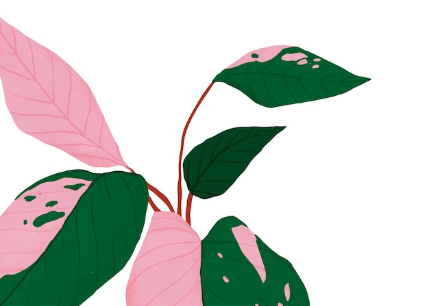 PNG-Pflanze rosa Prinzessin Philodendron Aufkleber botanische Illustration