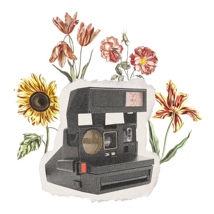 Foto png-retro-film-kamera-aufkleber blume durchsichtiger hintergrund