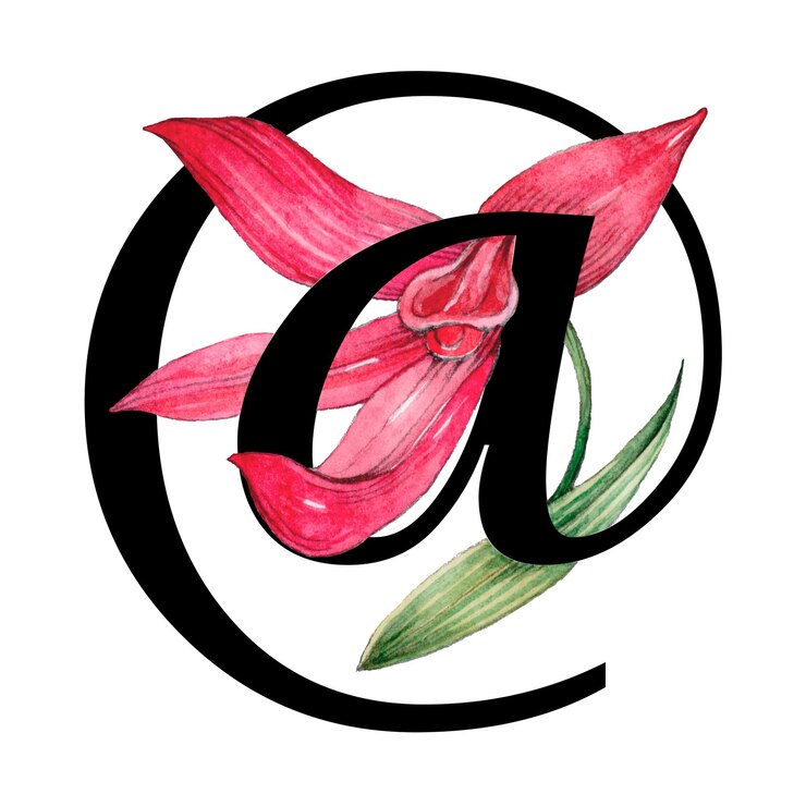 Foto png en el signo símbolo tipografía floral