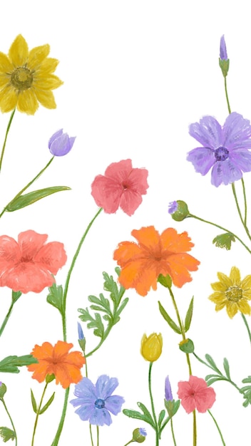 Png-Sommerblumen-transparenter Hintergrund