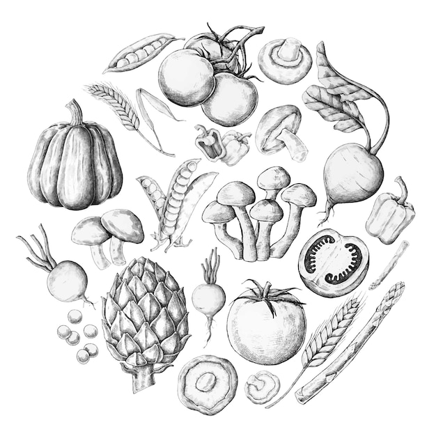 Png-Vintage-Ernte-Set mit durchsichtigem Hintergrund