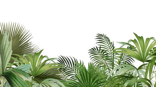 PNG Vintage selva fronteira fundo transparente